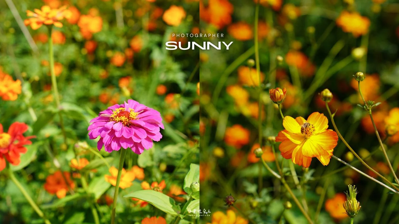 山水居8
