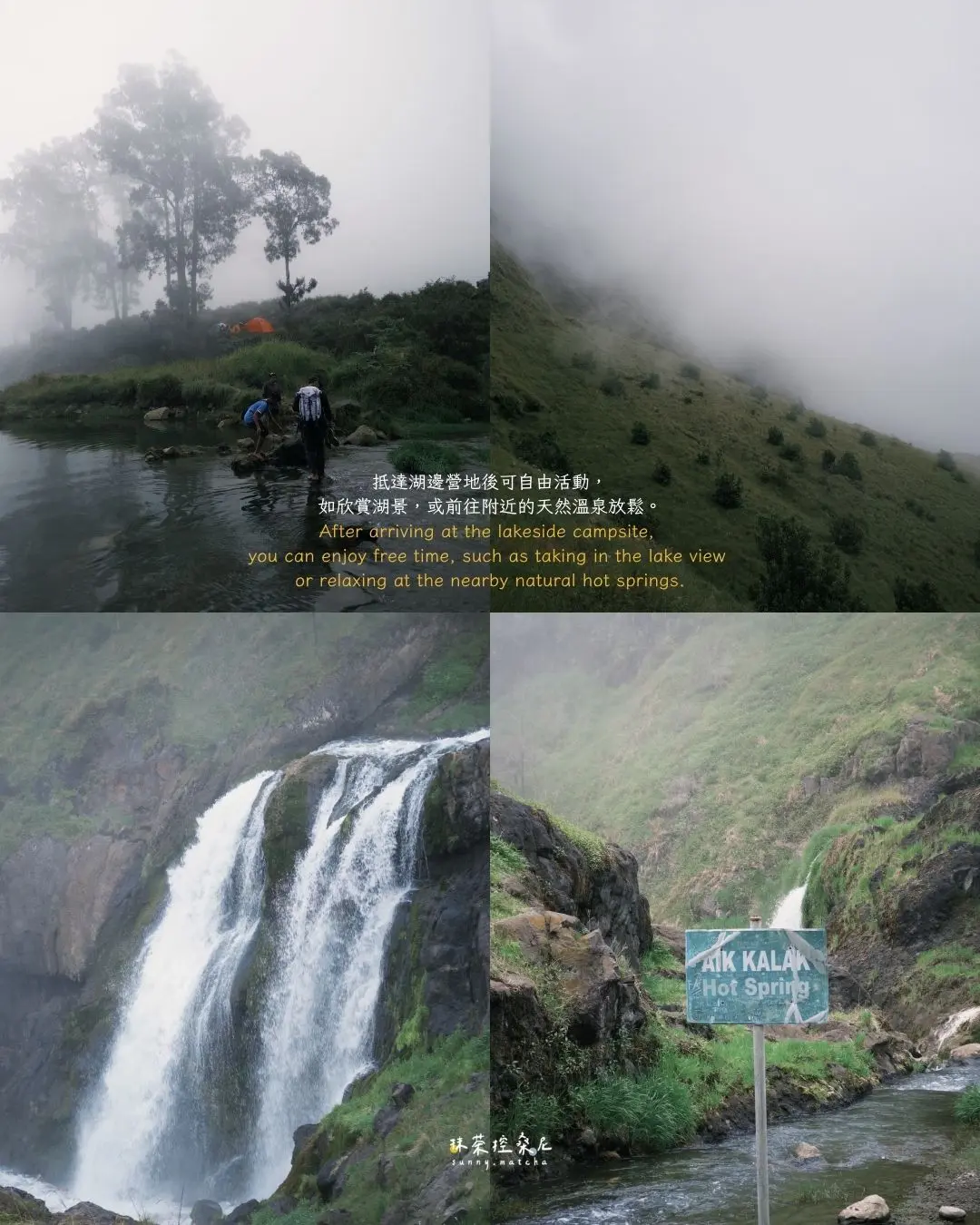 林賈尼 15