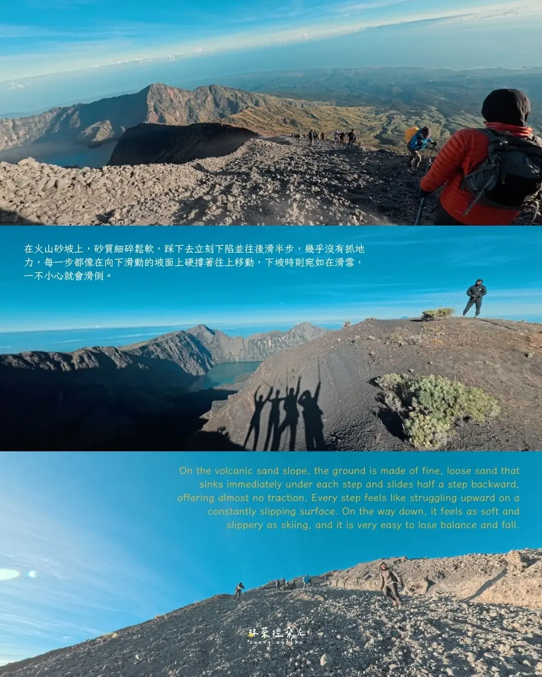林賈尼 11
